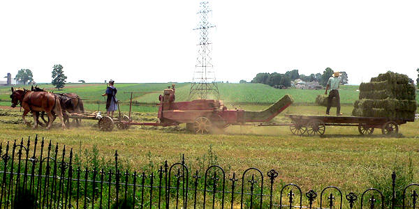 Lancaster PA - Amish man & woman baling hay in field